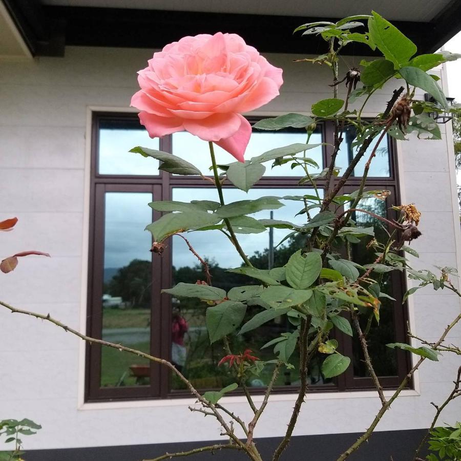 Futian B&B Ji'an Buitenkant foto